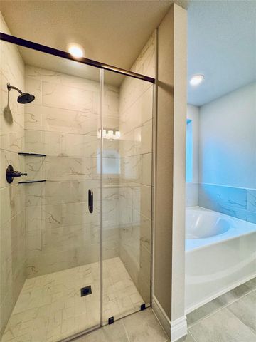 10250 Cabo Del Sol Drive, Cleveland, TX 77327