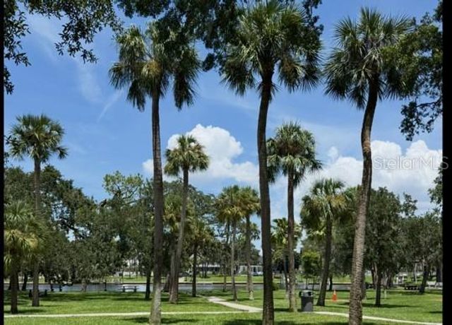 217 S SPRING BOULEVARD, Tarpon Springs, FL 34689