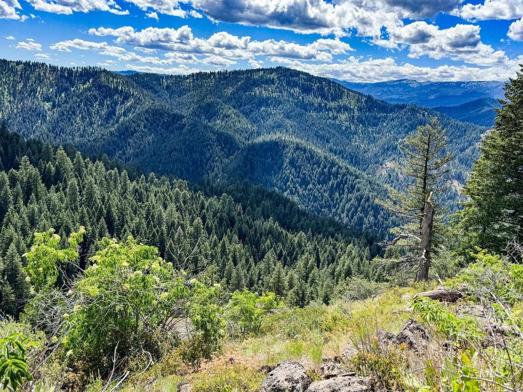 5110 Highway 95, New Meadows, ID 83654 photo 34