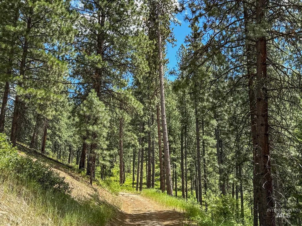 5110 Highway 95, New Meadows, ID 83654 photo 6