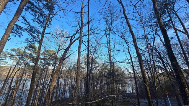Lot 66 Lower Ridge Circle, Edgemont, AR 72044