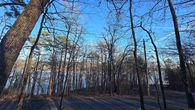 Lot 66 Lower Ridge Circle, Edgemont, AR 72044