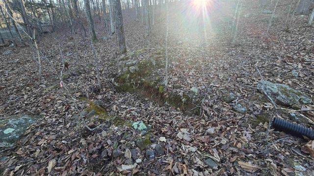 Lot 66 Lower Ridge Circle, Edgemont, AR 72044