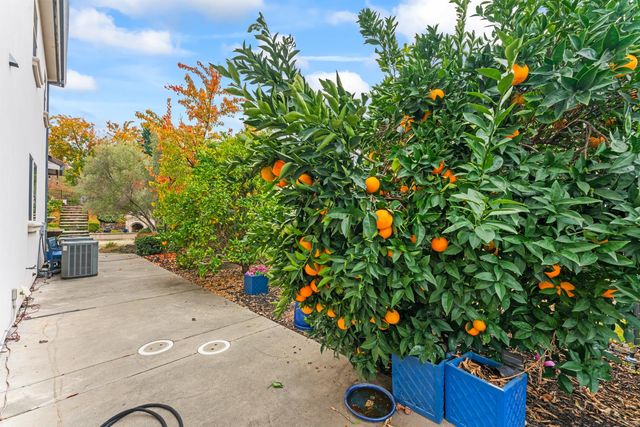 3036 Corsica, El Dorado Hills, CA 95762