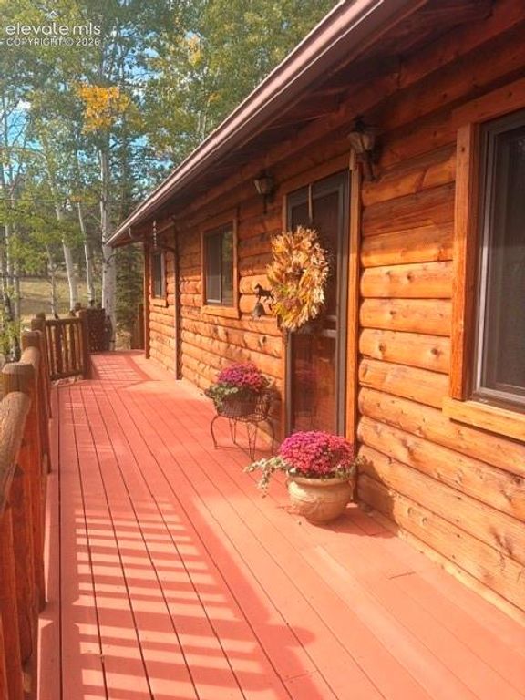 215 Valley Road, Florissant, CO 80816 — photo 3