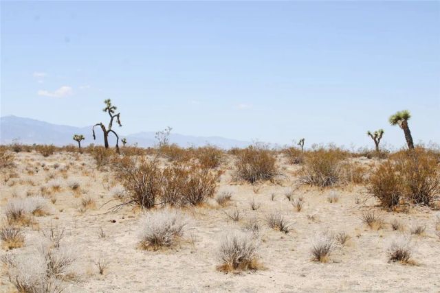 0 Holly, Phelan, CA 92371