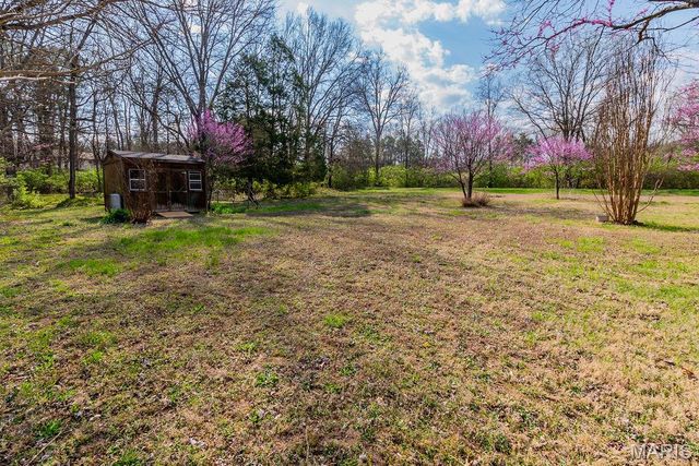 12728 Williamson Drive, De Soto, MO 63020
