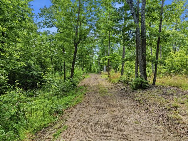 0 Backbone Road, Sparta, TN 38583