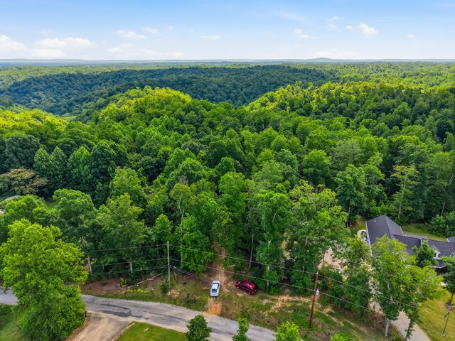 0 Backbone Road, Sparta, TN 38583