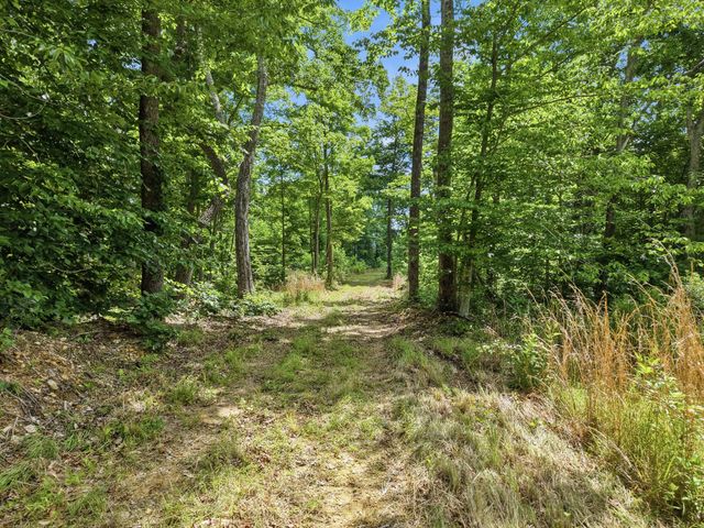 0 Backbone Road, Sparta, TN 38583