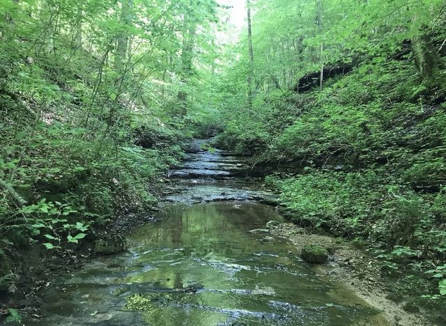 0 Backbone Road, Sparta, TN 38583