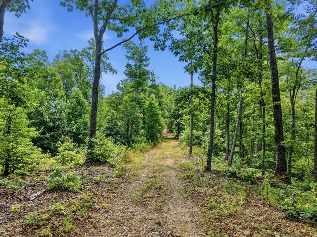 0 Backbone Road, Sparta, TN 38583