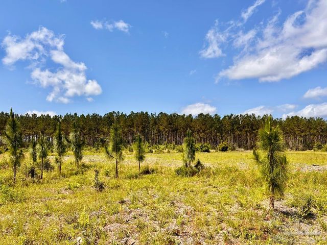 Lot 71 Naturewalk Dr, North Pace, FL 32571