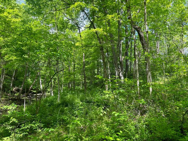 0 Buchanan Road, Waverly, OH 45690