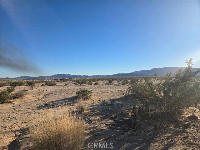 1234 Amboy Road, Twentynine Palms, CA 92277
