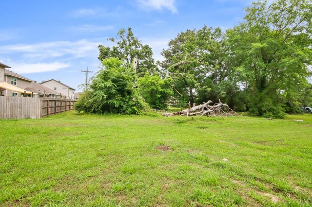 12995 Point Aquarius Boulevard, Willis, TX 77318