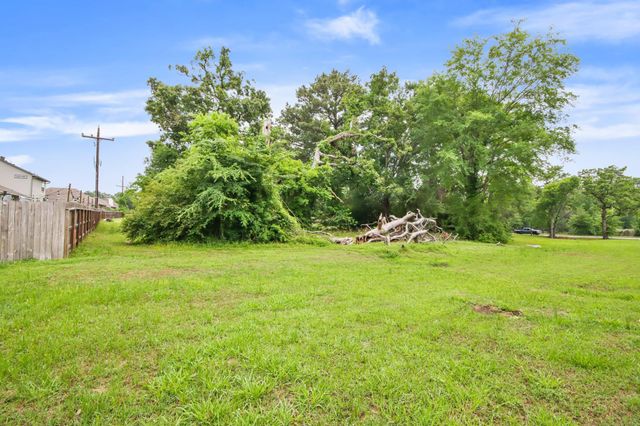 12995 Point Aquarius Boulevard, Willis, TX 77318