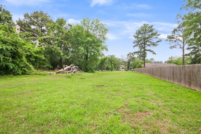 12995 Point Aquarius Boulevard, Willis, TX 77318