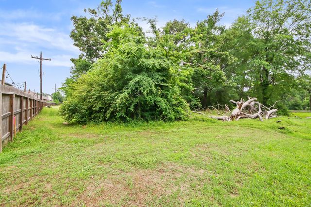 12995 Point Aquarius Boulevard, Willis, TX 77318
