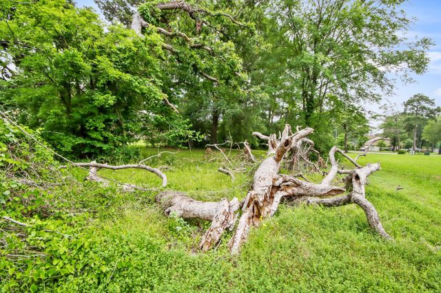 12995 Point Aquarius Boulevard, Willis, TX 77318