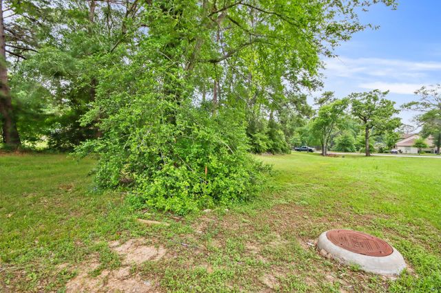 12995 Point Aquarius Boulevard, Willis, TX 77318