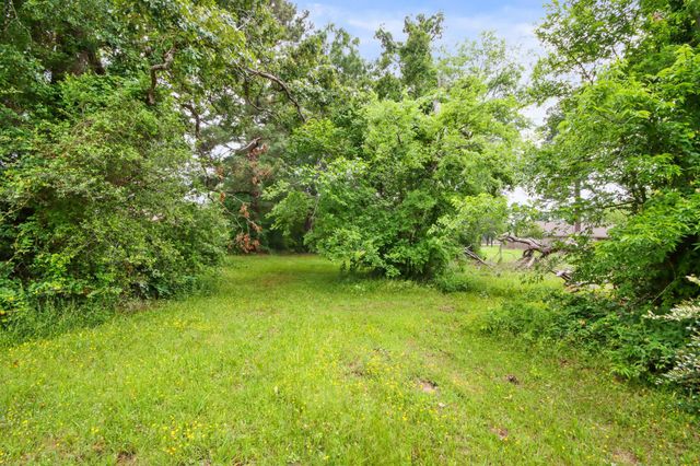 12995 Point Aquarius Boulevard, Willis, TX 77318
