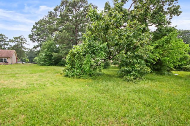 12995 Point Aquarius Boulevard, Willis, TX 77318