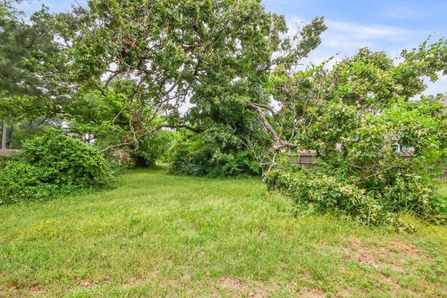 12995 Point Aquarius Boulevard, Willis, TX 77318
