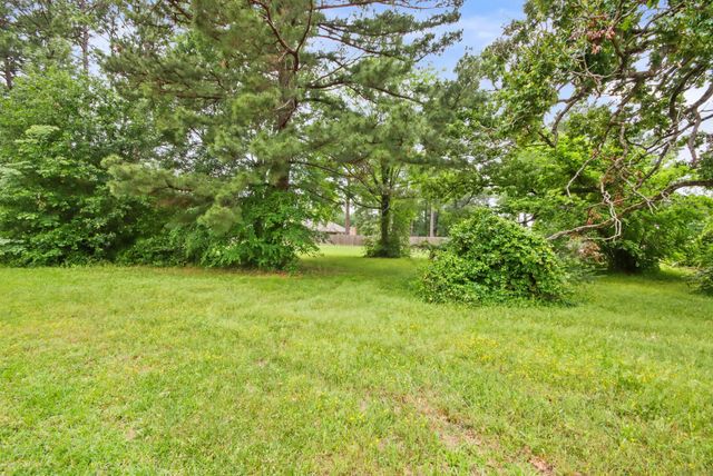 12995 Point Aquarius Boulevard, Willis, TX 77318