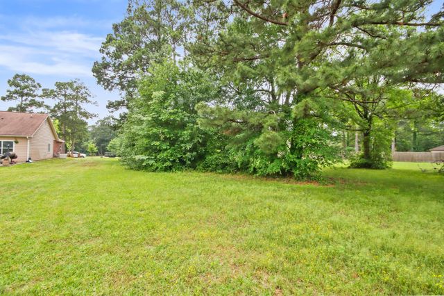 12995 Point Aquarius Boulevard, Willis, TX 77318