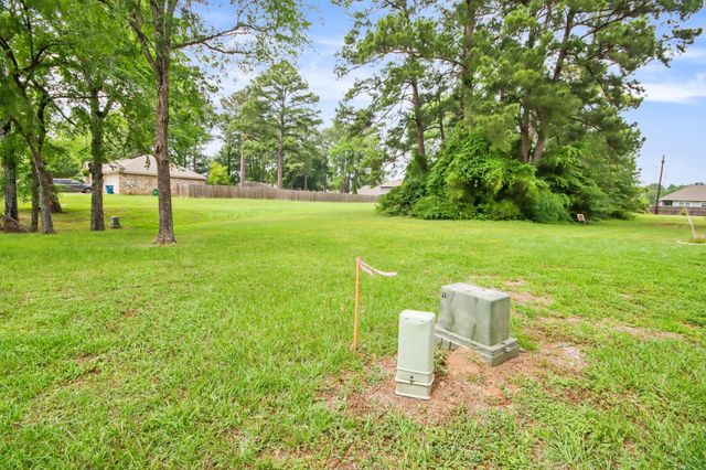 12995 Point Aquarius Boulevard, Willis, TX 77318