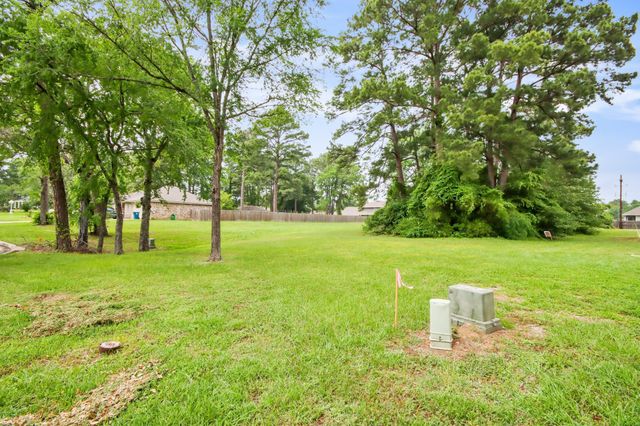 12995 Point Aquarius Boulevard, Willis, TX 77318