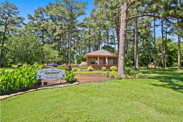 12995 Point Aquarius Boulevard, Willis, TX 77318
