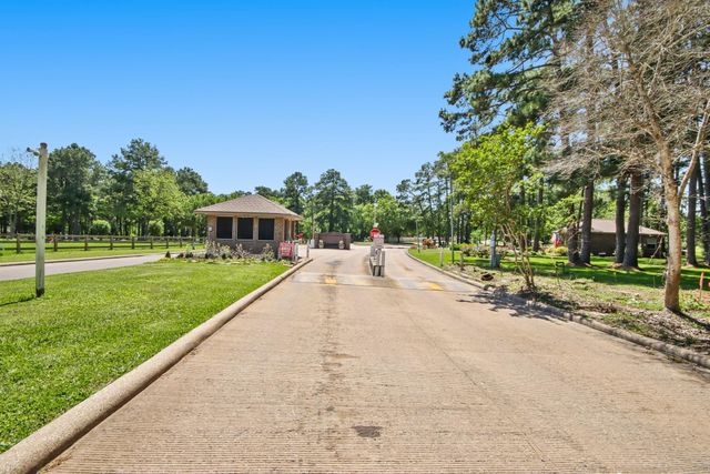 12995 Point Aquarius Boulevard, Willis, TX 77318