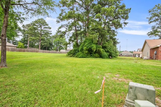 12995 Point Aquarius Boulevard, Willis, TX 77318