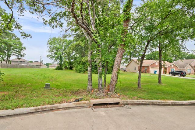 12995 Point Aquarius Boulevard, Willis, TX 77318