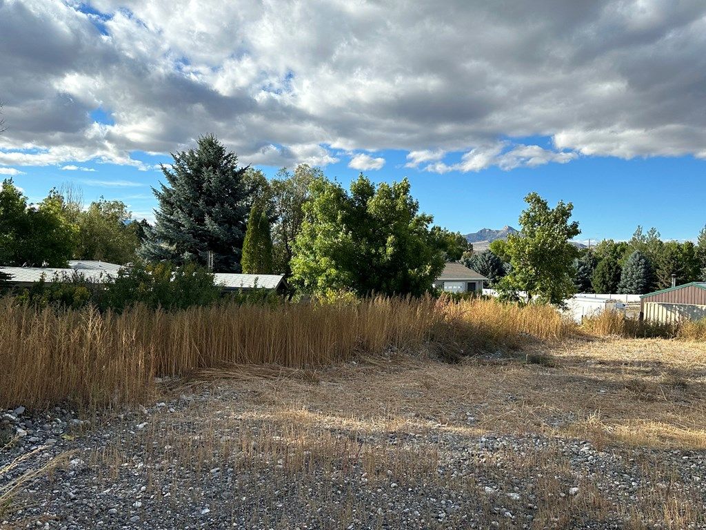 2919 Faith Ct, Cody, WY 82414 photo 9