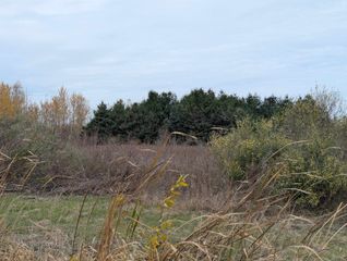 N/A Manor Road, Au Gres, MI 48703