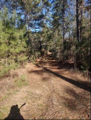 16012 Wood Grove Way, Willis, TX 77378