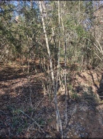 16012 Wood Grove Way, Willis, TX 77378