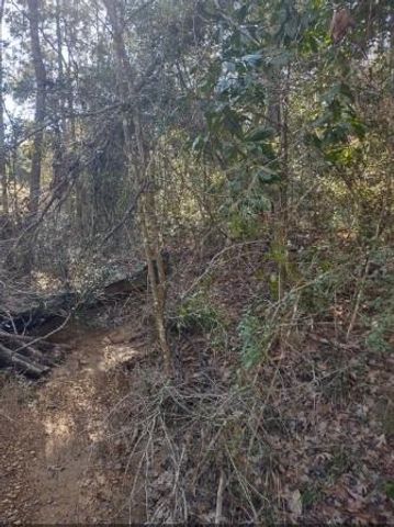 16012 Wood Grove Way, Willis, TX 77378