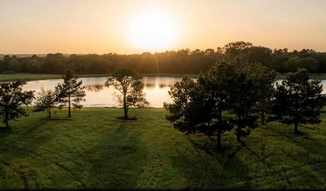 16012 Wood Grove Way, Willis, TX 77378