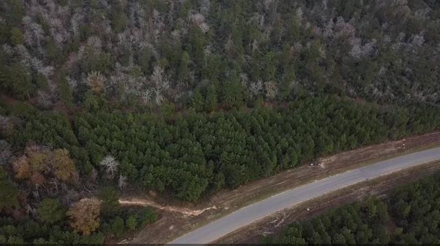 16012 Wood Grove Way, Willis, TX 77378