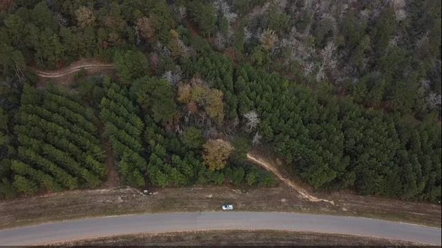 16012 Wood Grove Way, Willis, TX 77378