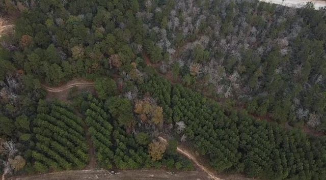 16012 Wood Grove Way, Willis, TX 77378