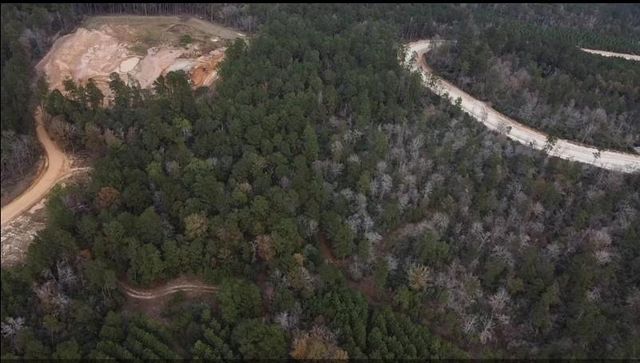 16012 Wood Grove Way, Willis, TX 77378