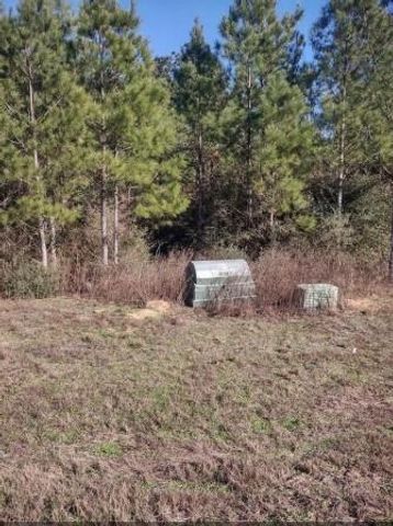 16012 Wood Grove Way, Willis, TX 77378