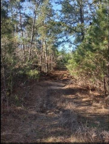 16012 Wood Grove Way, Willis, TX 77378