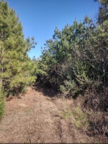 16012 Wood Grove Way, Willis, TX 77378