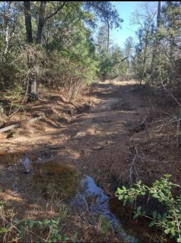 16012 Wood Grove Way, Willis, TX 77378